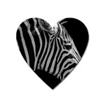 Zebra 3 Magnet (Heart)