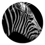 Zebra 3 Magnet 5  (Round)