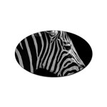 Zebra 3 Sticker Oval (10 pack)