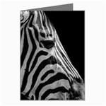 Zebra 3 Greeting Cards (Pkg of 8)