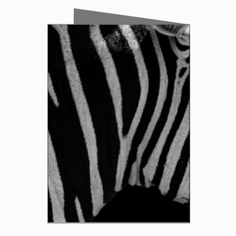 Zebra 3 Greeting Cards (Pkg of 8) from ArtsNow.com Right