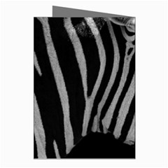 Zebra 3 Greeting Cards (Pkg of 8) from ArtsNow.com Right