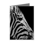 Zebra 3 Mini Greeting Card
