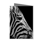 Zebra 3 Mini Greeting Cards (Pkg of 8)