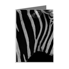 Zebra 3 Mini Greeting Cards (Pkg of 8) from ArtsNow.com Right