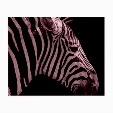 Zebra 3 Small Glasses Cloth from ArtsNow.com Front