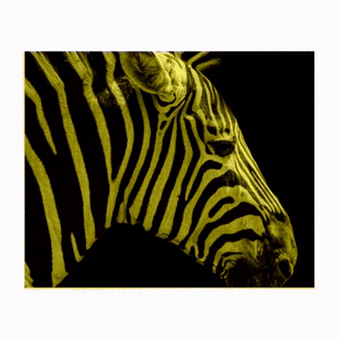 Zebra 3 Small Glasses Cloth from ArtsNow.com Front