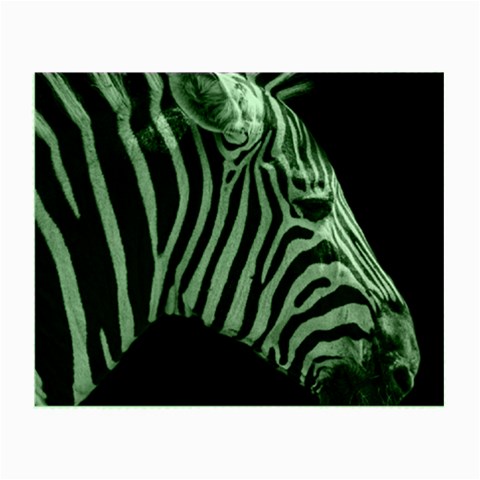 Zebra 3 Small Glasses Cloth from ArtsNow.com Front