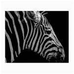 Zebra 3 Small Glasses Cloth