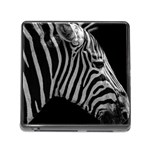 Zebra 3 Memory Card Reader (Square)