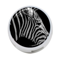Zebra 3 4 Back
