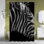 Zebra 3 Shower Curtain 48  x 72  (Small)