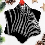 Zebra 3 Ornament (Snowflake)