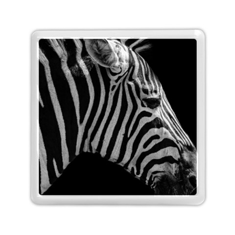 Zebra 3 Memory Card Reader (Square) from ArtsNow.com Front