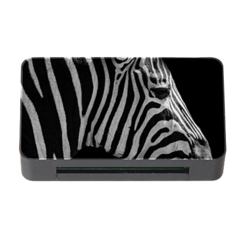 Zebra 3 Memory Card Reader with CF from ArtsNow.com Front