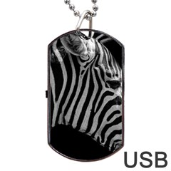 Zebra 3 Dog Tag USB Flash (Two Sides) from ArtsNow.com Front
