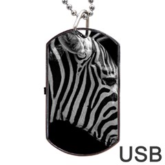 Zebra 3 Dog Tag USB Flash (Two Sides) from ArtsNow.com Back