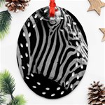 Zebra 3 Ornament (Oval Filigree)