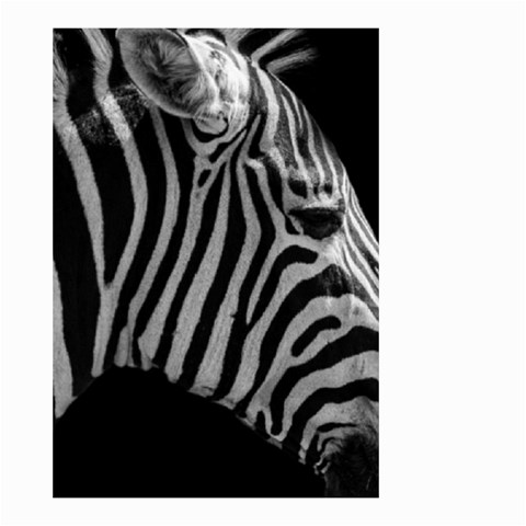 Zebra 3 Small Garden Flag (Two Sides) from ArtsNow.com Front