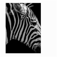 Zebra 3 Large Garden Flag (Two Sides) from ArtsNow.com Front