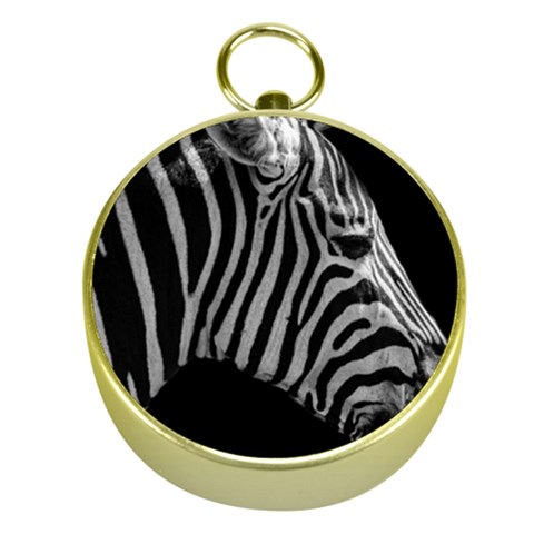 Zebra 3 Gold Compass from ArtsNow.com Front