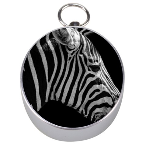 Zebra 3 Silver Compass from ArtsNow.com Front