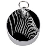 Zebra 3 Silver Compass