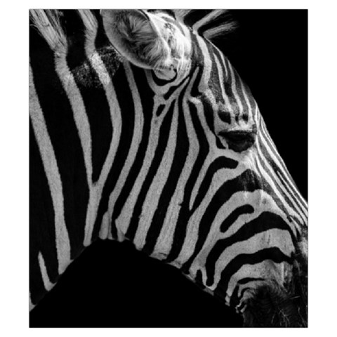 Zebra 3 Drawstring Pouch (Small) from ArtsNow.com Front