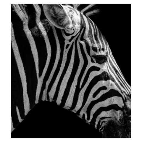 Zebra 3 Drawstring Pouch (Medium) from ArtsNow.com Back