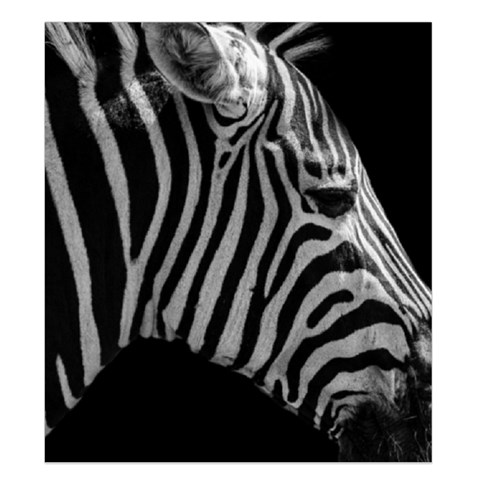 Zebra 3 Duvet Cover (King Size) from ArtsNow.com Duvet Quilt