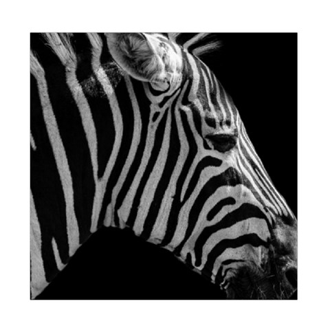 Zebra 3 Duvet Cover Double Side (Full/ Double Size) from ArtsNow.com Front