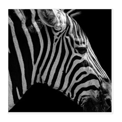 Zebra 3 Duvet Cover Double Side (Queen Size) from ArtsNow.com Back