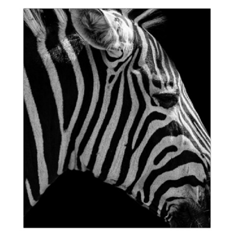 Zebra 3 Duvet Cover Double Side (California King Size) from ArtsNow.com Front