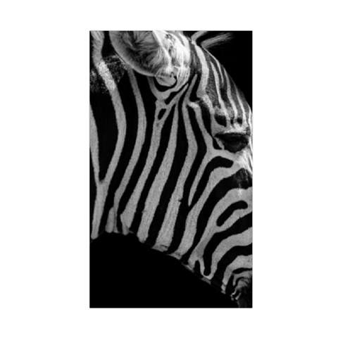 Zebra 3 Duvet Cover Double Side (Single Size) from ArtsNow.com Back