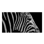 Zebra 3 Satin Shawl
