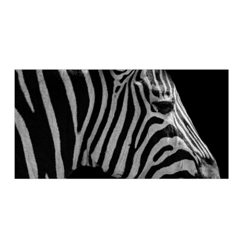Zebra 3 Satin Wrap from ArtsNow.com Front