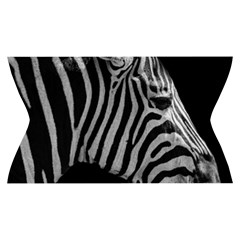 Zebra 3 Yoga Cropped Leggings from ArtsNow.com Waistband Front