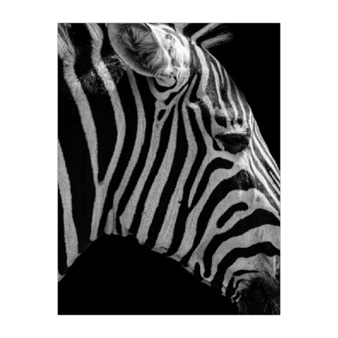 Zebra 3 Medium Tapestry from ArtsNow.com Front