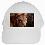 Wolf White Cap