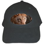 Wolf Black Cap