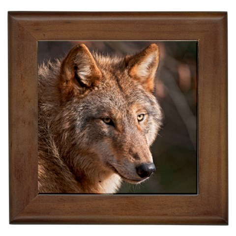 Wolf Framed Tile from ArtsNow.com Front