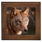 Wolf Framed Tile