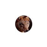 Wolf 1  Mini Magnet