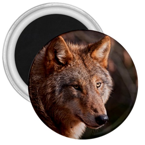 Wolf 3  Magnet from ArtsNow.com Front