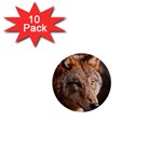 Wolf 1  Mini Button (10 pack) 