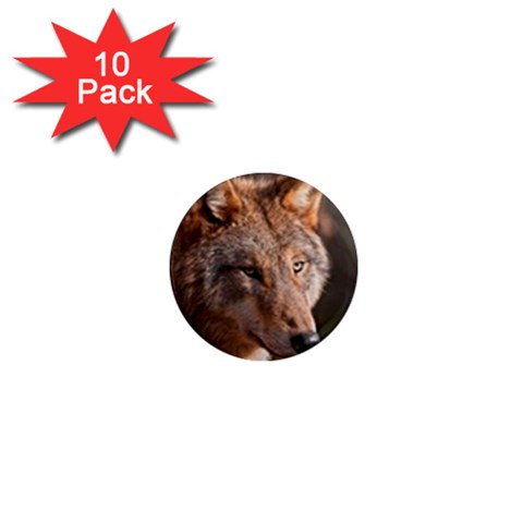 Wolf 1  Mini Magnet (10 pack)  from ArtsNow.com Front