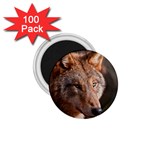 Wolf 1.75  Magnet (100 pack) 