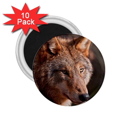 Wolf 2.25  Magnet (10 pack) from ArtsNow.com Front