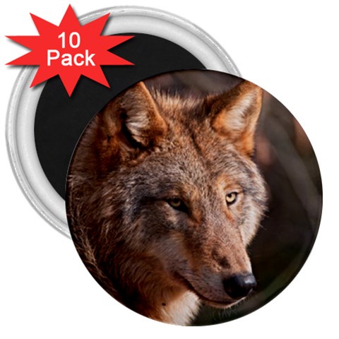 Wolf 3  Magnet (10 pack) from ArtsNow.com Front