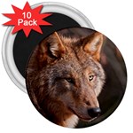Wolf 3  Magnet (10 pack)